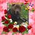 Donna Rivera Pantina's profile image