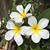 Kim Taylor Gorski's profile image