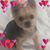 Gert Beach's profile image