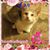 Lee Ann Mora's profile image