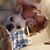 Randi Spada's profile image