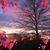 Laura Wischmeyer Koss's profile image