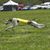 Carol West's profile image