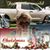 Gail Rudy Woodland Rudolph's profile image
