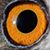 Josie Roitman Fagundo Maresma's profile image