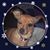 Mel Vargo's profile image
