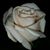Paul Bissman's profile image
