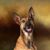 Cindy Rice's profile image