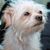 Linda Teachout's profile image