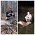 Jared Seagle's profile image