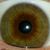 Cody Trammell's profile image