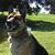 Sherri Waterman's profile image