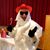 Tim Hemmen's profile image