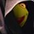 Bryan Lewis's profile image