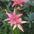 Nancy Morin's profile image
