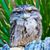 Vivian Morgan's profile image