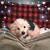 Vicki Biggs's profile image