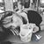 Rosie Maas's profile image