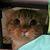 Marie Anders's profile image