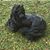 Catherine Taylor Neff's profile image