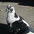 Evelia Godinez's profile image