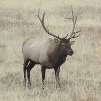 Maggie Leland's profile image