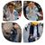 Mona Lu Latta's profile image