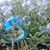 Dina Mobley Newcomb's profile image