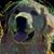 Marissa Geels Hendrix's profile image