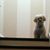 Cody Coton Seaton's profile image