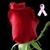 Barbara Balch's profile image