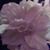 Marilyn Baker's profile image