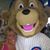 Elaine F. Cook's profile image