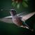 Lynne Jones's profile image