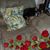 Sharon Francoeur's profile image