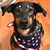 Craig P. Holcomb's profile image