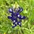 Rhonda L. Ostwald's profile image