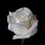 Hoang Mai's profile image