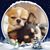 Alice McWithey's profile image
