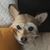 Julie Clements's profile image