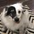 Joani Bickley's profile image