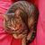 Brina Mims Ashleydale's profile image