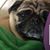 Sandra Sackrider- Grys's profile image