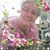 Sharon Carlson's profile image