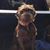 Corey Hetzel's profile image