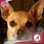 Brenda Kratz's profile image