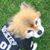 Patti Lee's profile image
