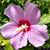 Linda Leach's profile image