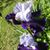 Tracy Reagan Kiele's profile image