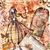 Marsha Quilty's profile image